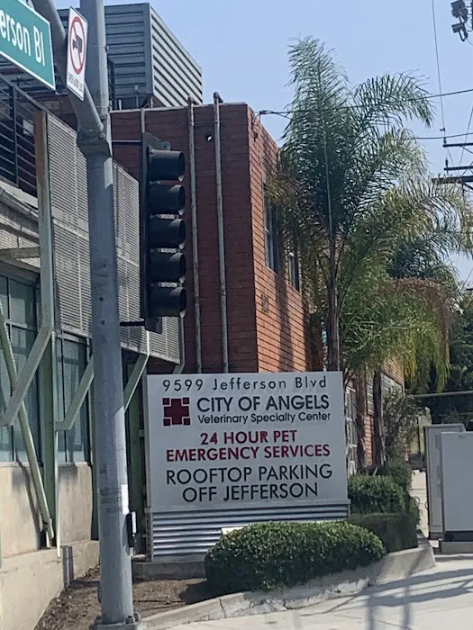 Eye Care for Animals - Culver City 5