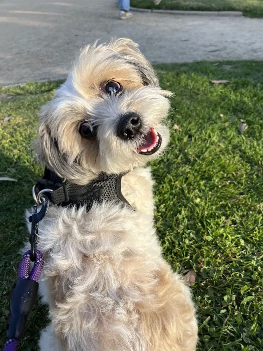 Eye Care for Animals - Culver City 7