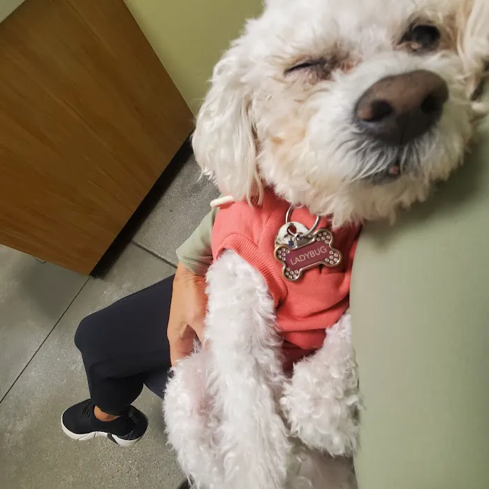 Eye Care for Animals - Culver City 6