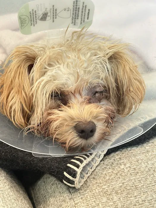 Eye Care for Animals - Culver City 3