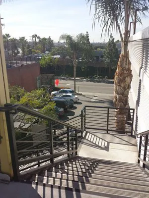 Eye Care for Animals - Culver City 8
