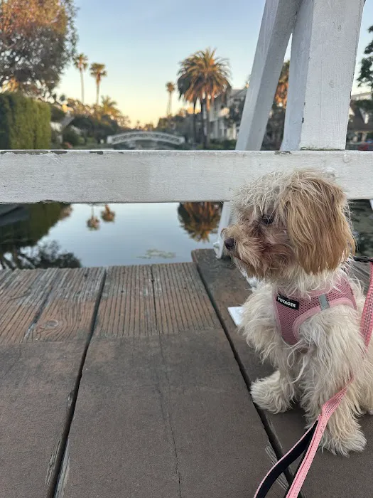 Eye Care for Animals - Culver City 2