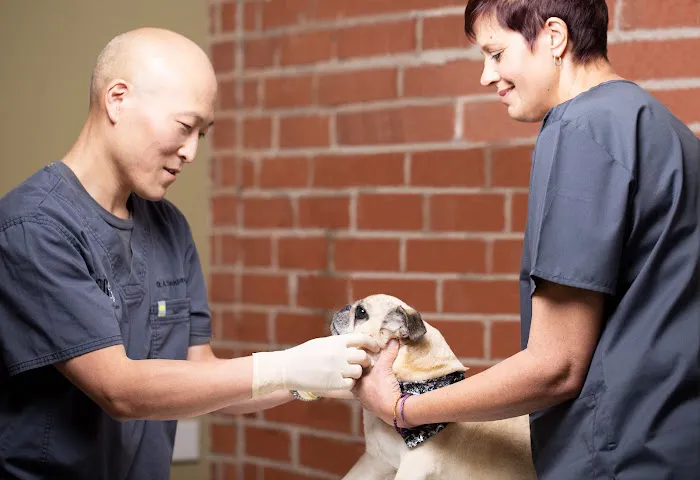 Dog and Cat Dentist, Inc. 4