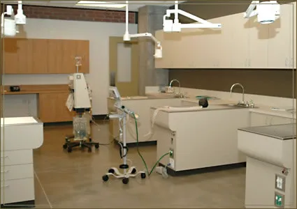 City of Angels Veterinary Specialty Center 5