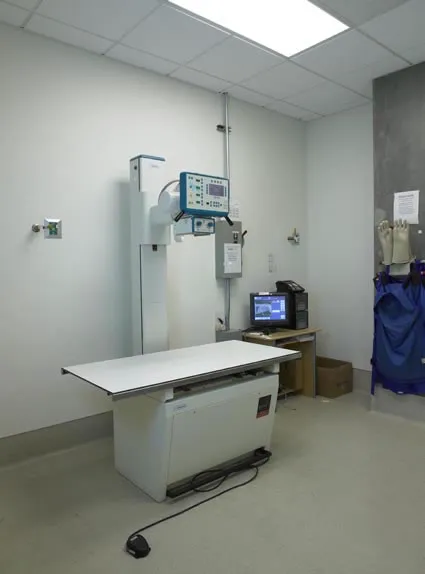 City of Angels Veterinary Specialty Center 7