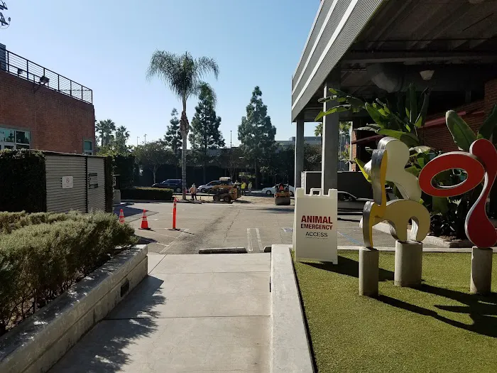 City of Angels Veterinary Specialty Center 10