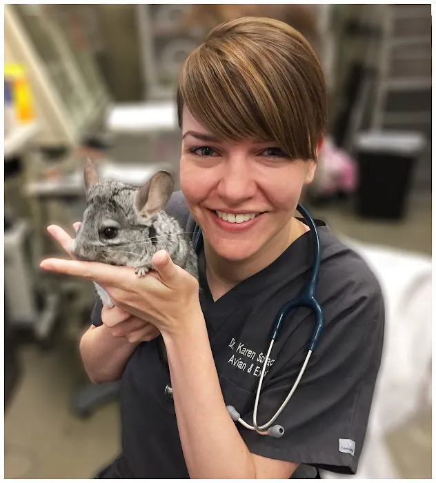 ACCESS Specialty Animal Hospitals - Los Angeles 10