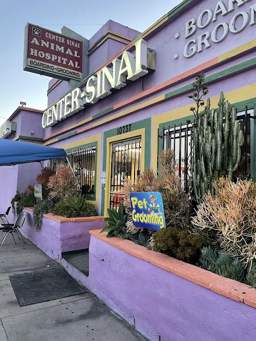 Center Sinai Animal Hospital 10
