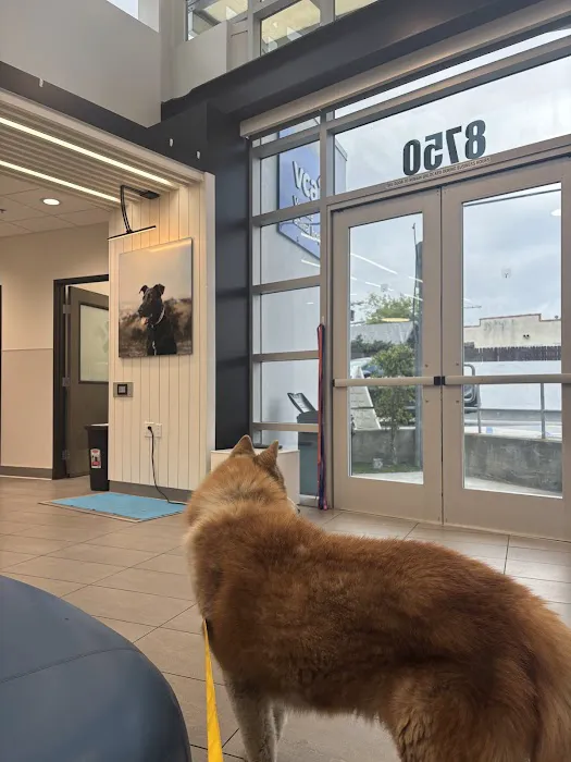 VCA Venture Animal Hospital 8
