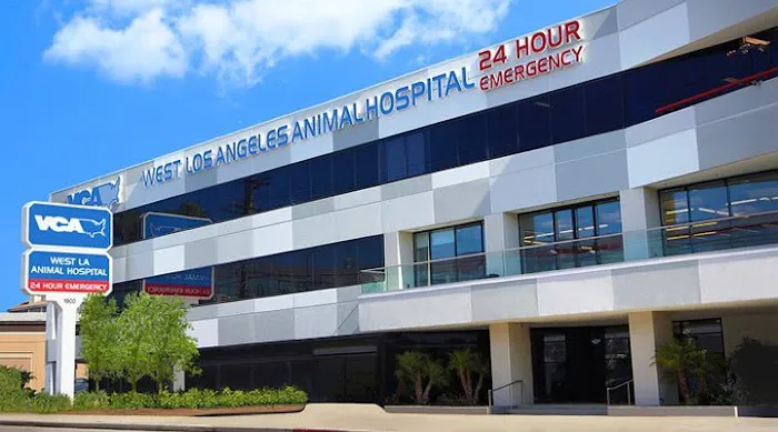 VCA Venture Animal Hospital 5