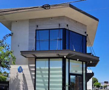 Modern Animal - La Brea