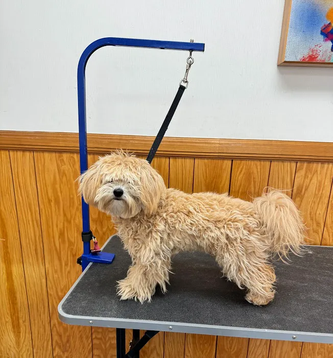 Park La Brea Veterinary Care 9