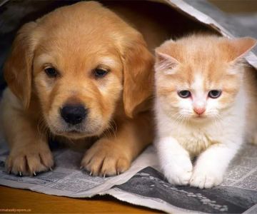Beverly Robertson Veterinary Clinic