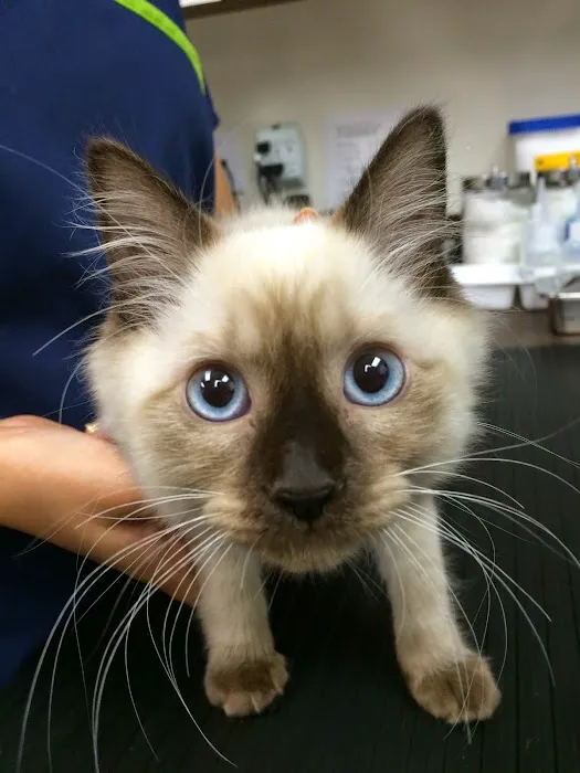 Beverly Robertson Veterinary Clinic 2