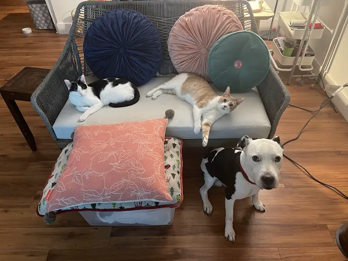 Beverly Robertson Veterinary Clinic 8