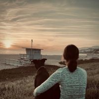 Gold Coast Mobile Veterinary Care ico