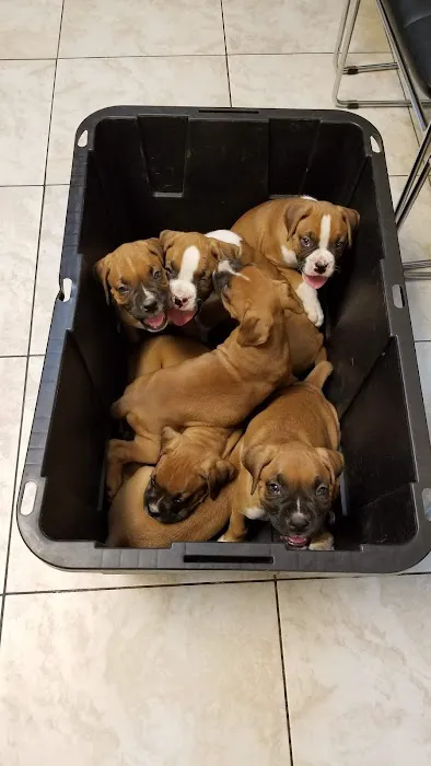 Azusa Animal Hospital 8