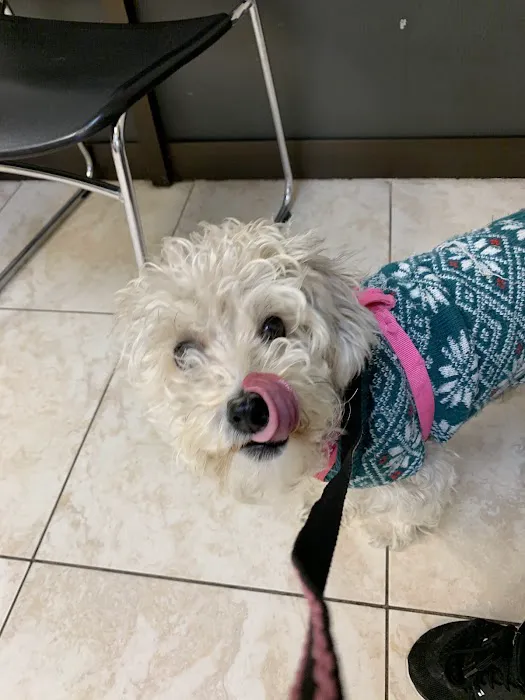 Azusa Animal Hospital 1