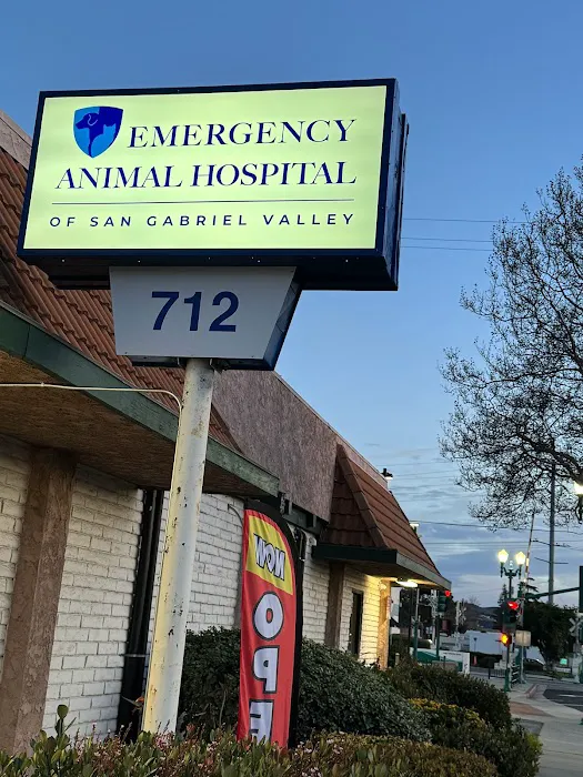 Emergency Animal Hospital of San Gabriel Valley 8