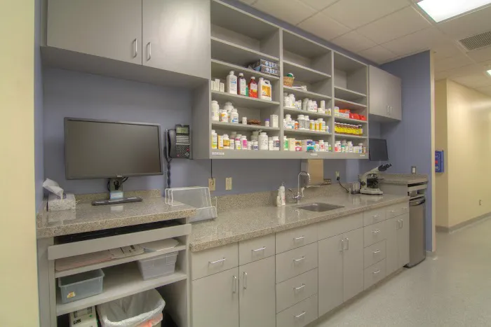 Covina Animal Hospital 9