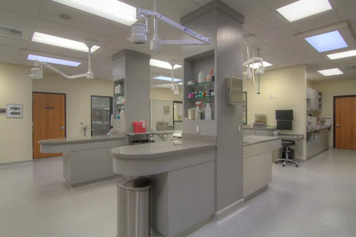 Covina Animal Hospital 4