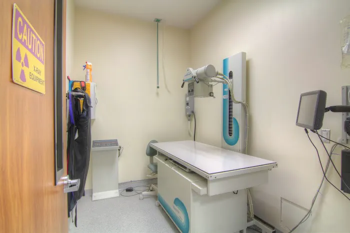Covina Animal Hospital 10
