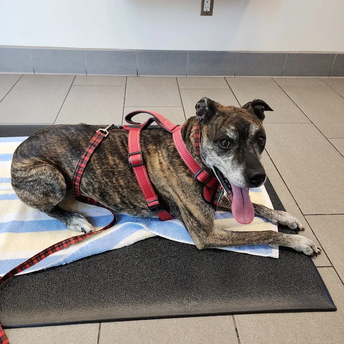 Covina Animal Hospital 6
