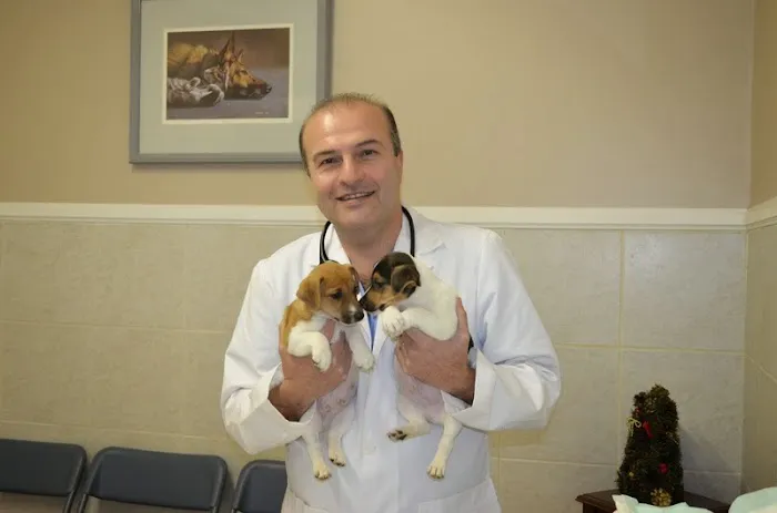 Duarte Azusa Animal Hospital 5