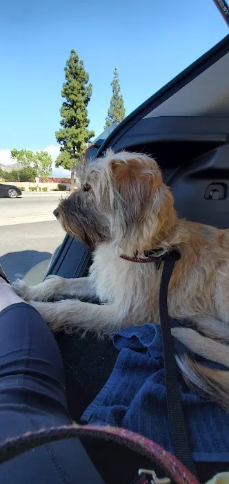 Duarte Azusa Animal Hospital 10