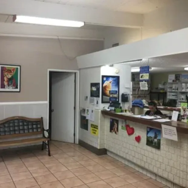 Duarte Azusa Animal Hospital 7