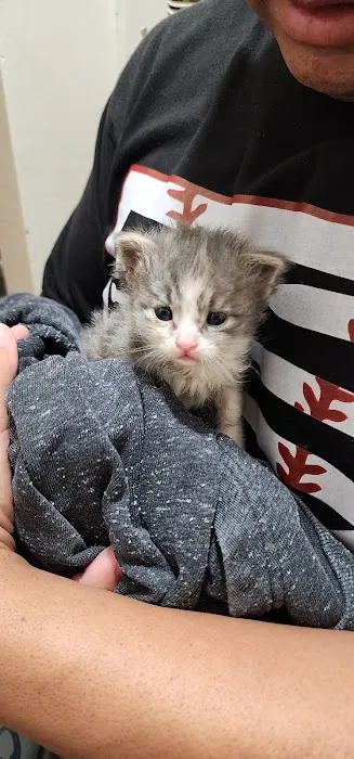 Duarte Azusa Animal Hospital 3