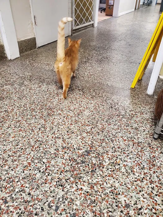 Duarte Azusa Animal Hospital 4