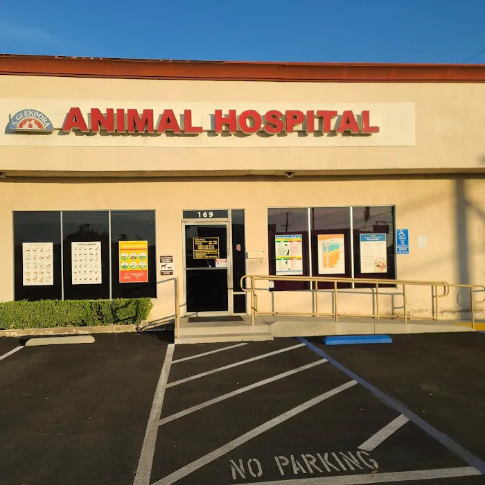 South Glendora Animal Hospital 6