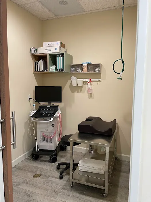 Healthy Paws Animal Hospital 1
