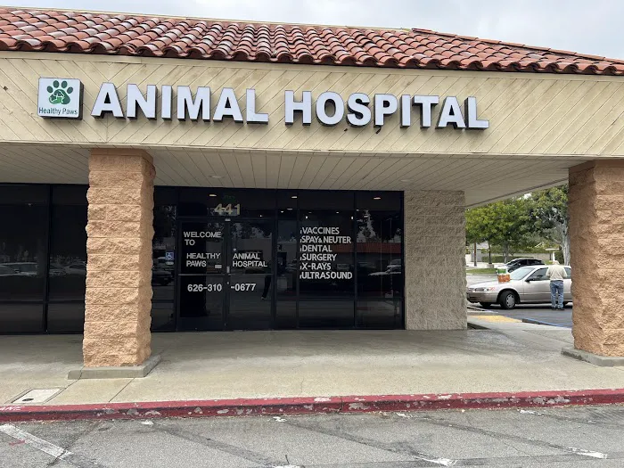 Healthy Paws Animal Hospital 3