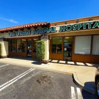 Via Verde Animal Hospital ico
