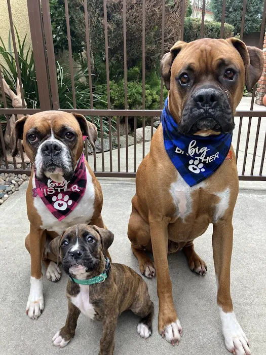 Via Verde Animal Hospital 3