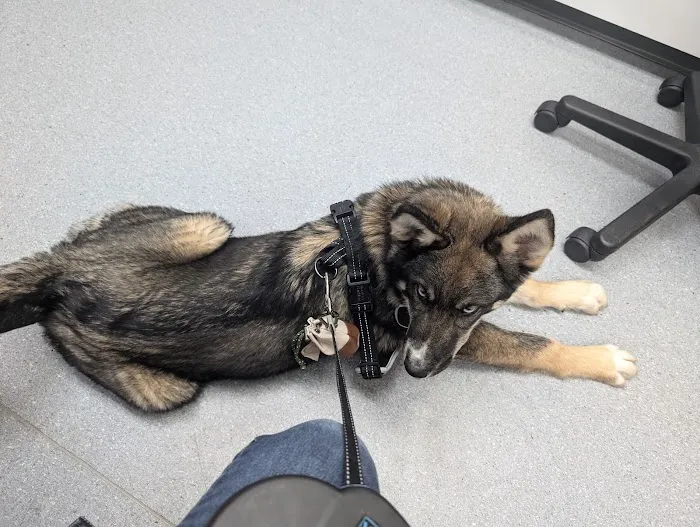 Via Verde Animal Hospital 5