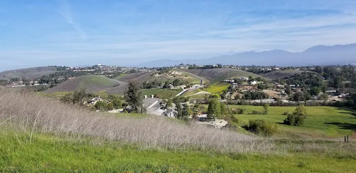 Chino Valley Equine Hospital 12
