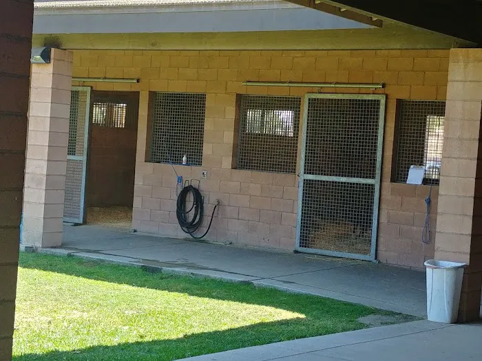 Chino Valley Equine Hospital 12