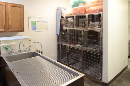 Payne Ranch Vet Clinic 12