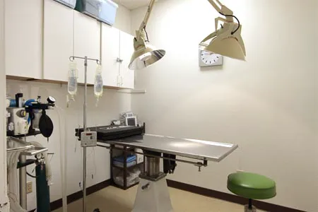 Payne Ranch Vet Clinic 12