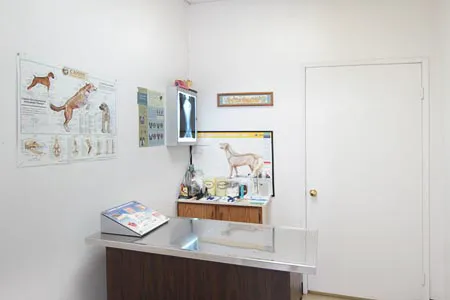 Payne Ranch Vet Clinic 12