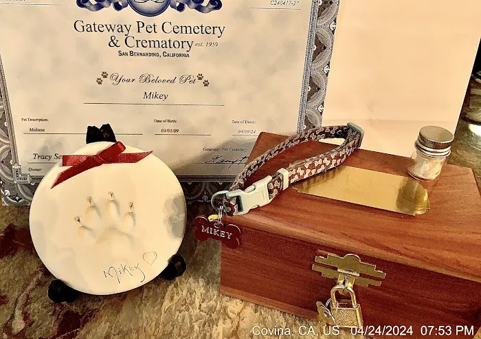 Paw In Hand 12