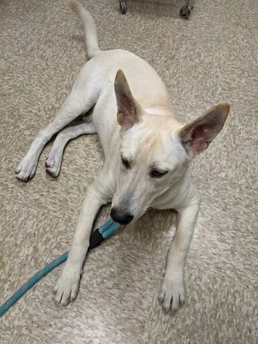 WesternU Pet Health Center 6