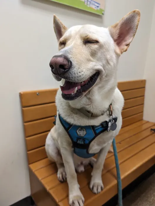 WesternU Pet Health Center 1