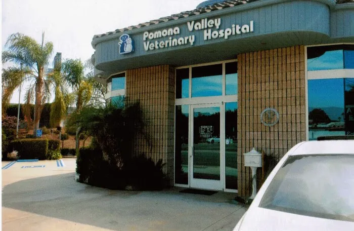 Veterinary Eye Clinic 6