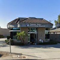Veterinary Eye Clinic ico