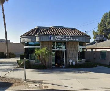 Veterinary Eye Clinic