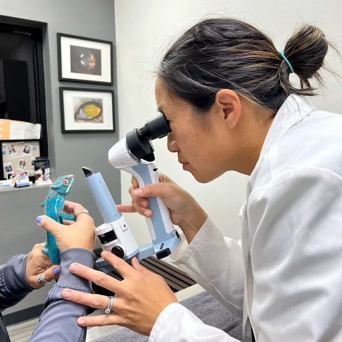 Veterinary Eye Clinic 10